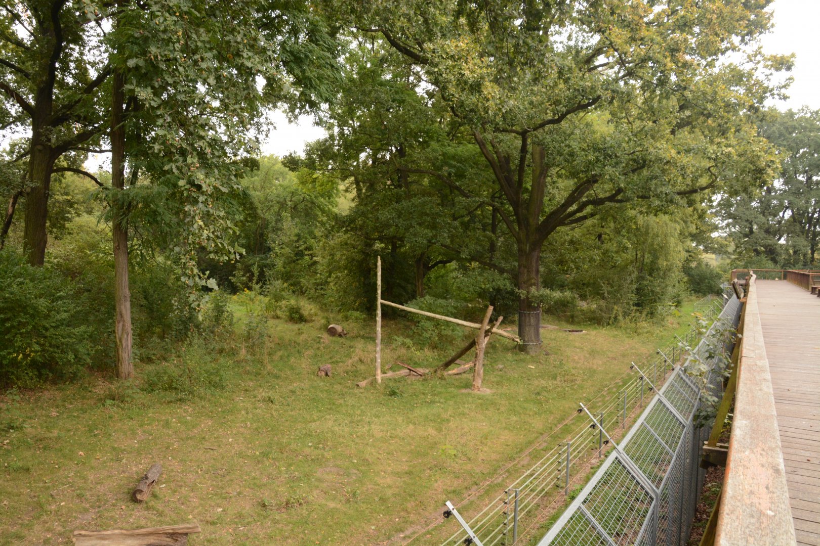 European Brown Bear enclosure