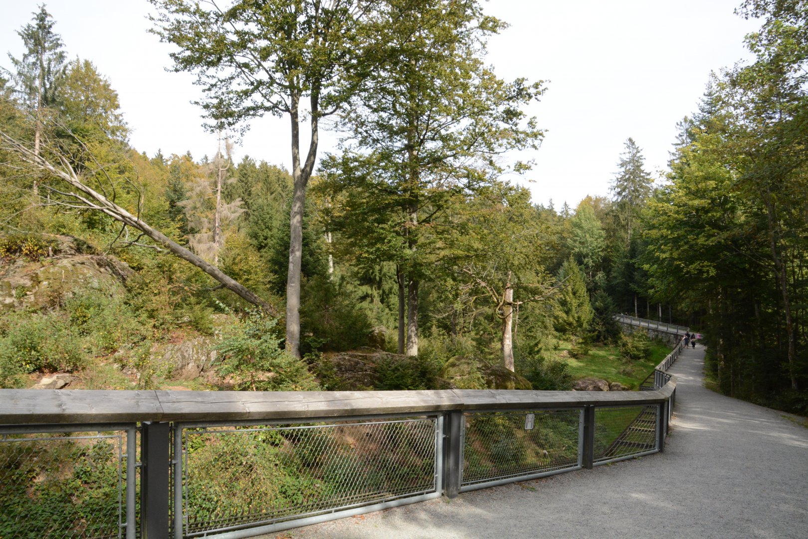 European brown bear enclosure