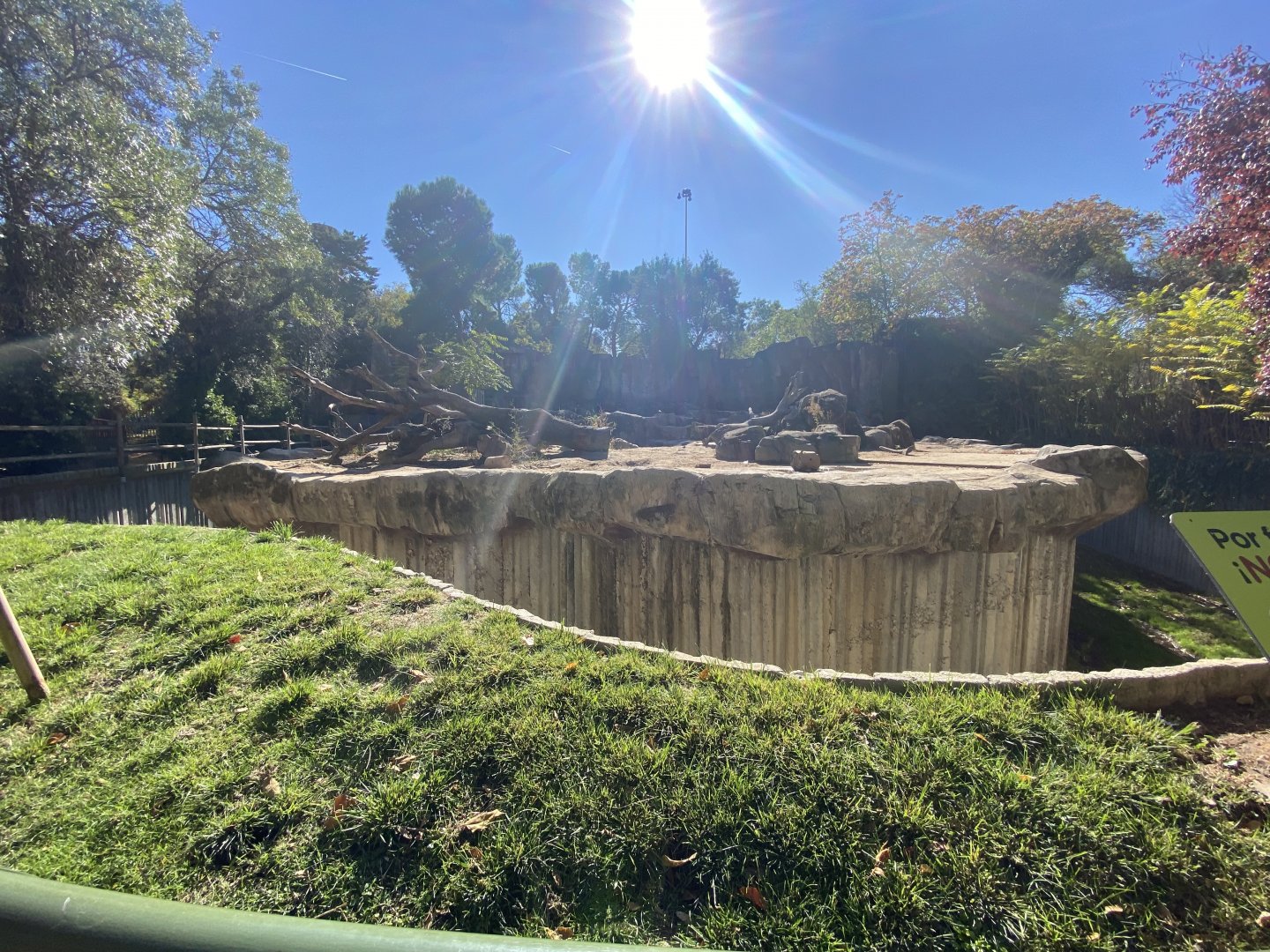 European brown bear enclosure