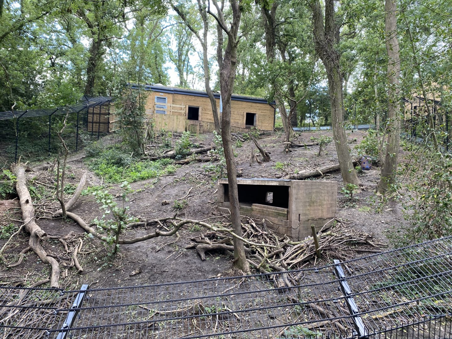 European Brown Bear/Eurasian Wolf enclosure (Bear Wood) 290820