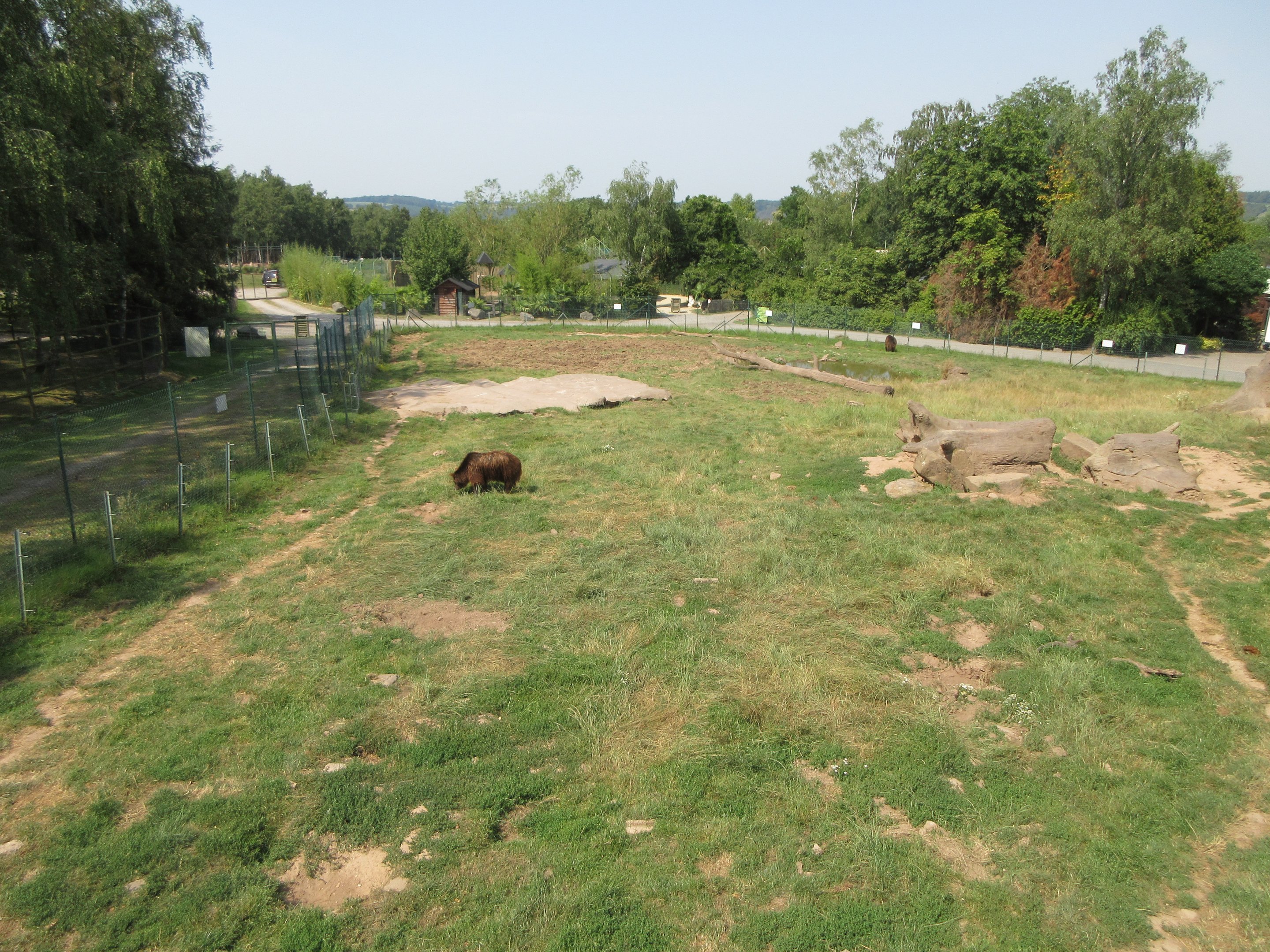 European Brown Bear Exhibit (5 bears)