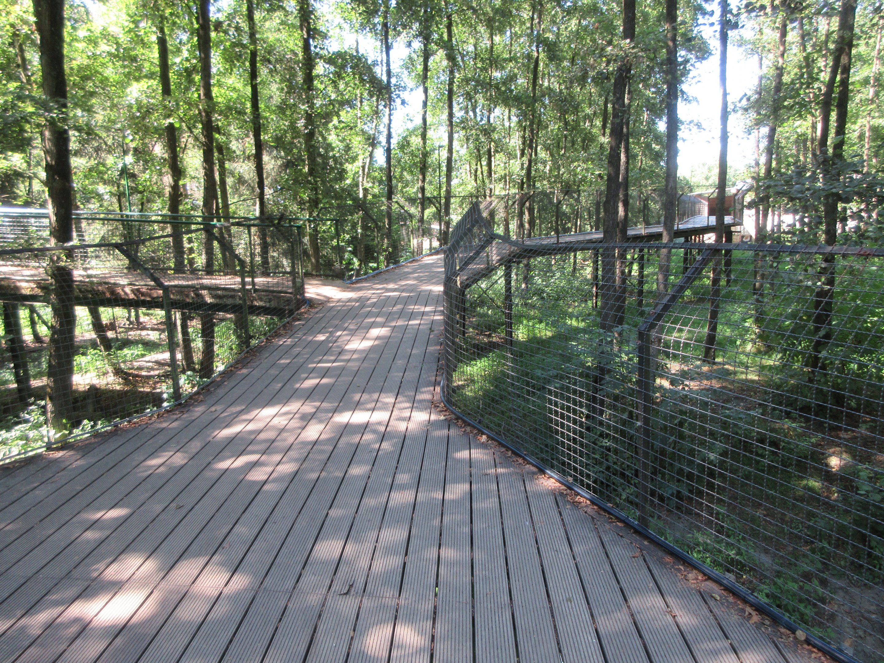 European Brown Bear Exhibit (seen via overhead boardwalk)