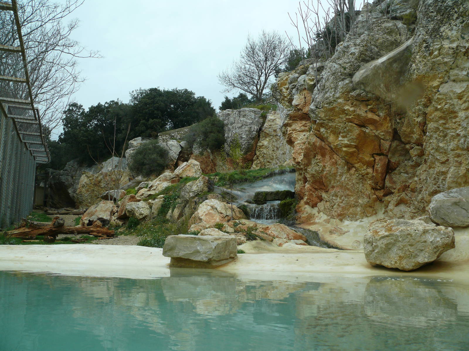 European brown bear exhibit