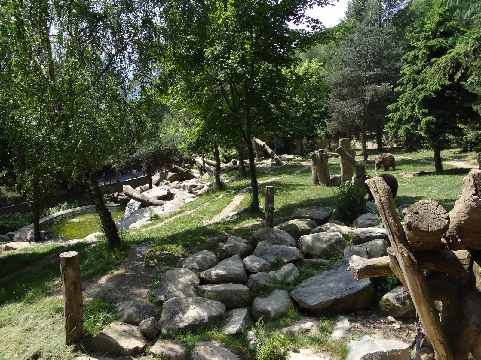 European brown bear exhibit