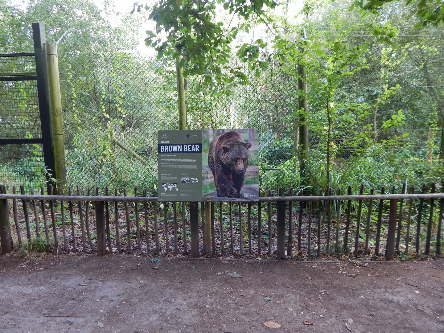 European brown bear habitat 030924