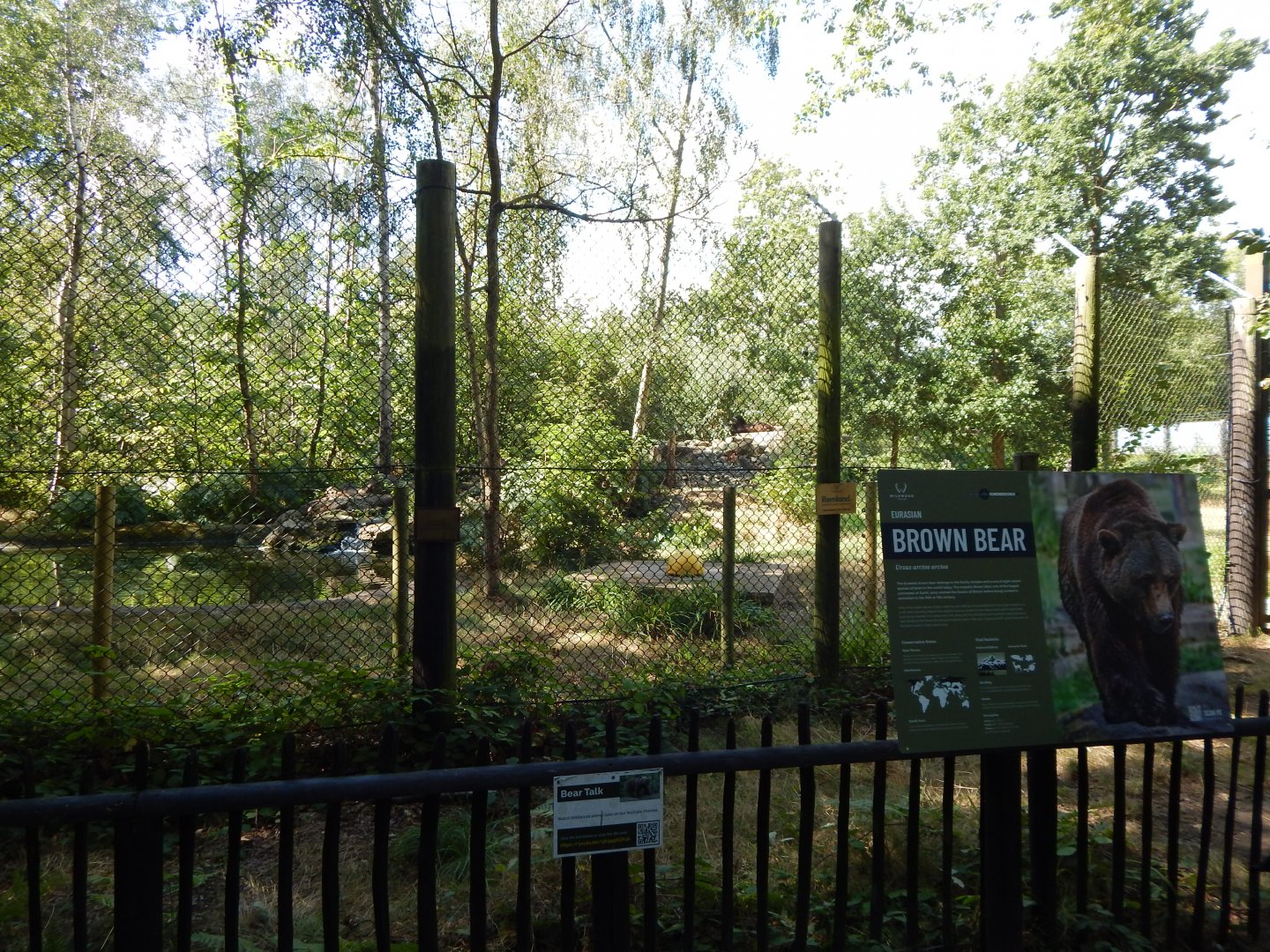 European brown bear habitat 030924