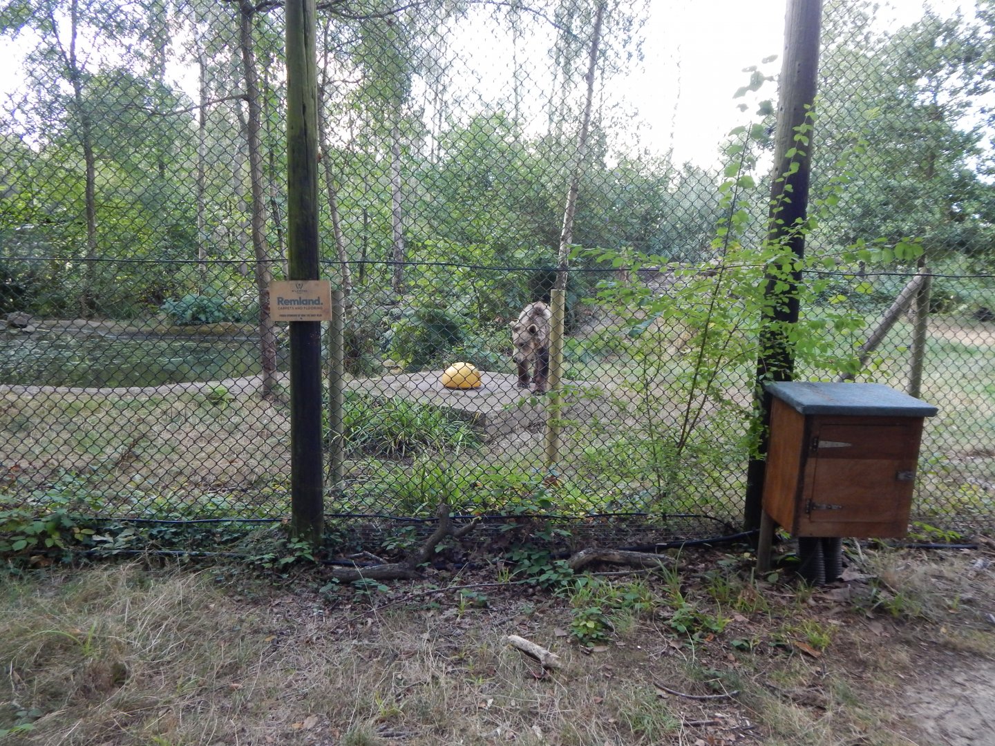 European brown bear habitat 030924