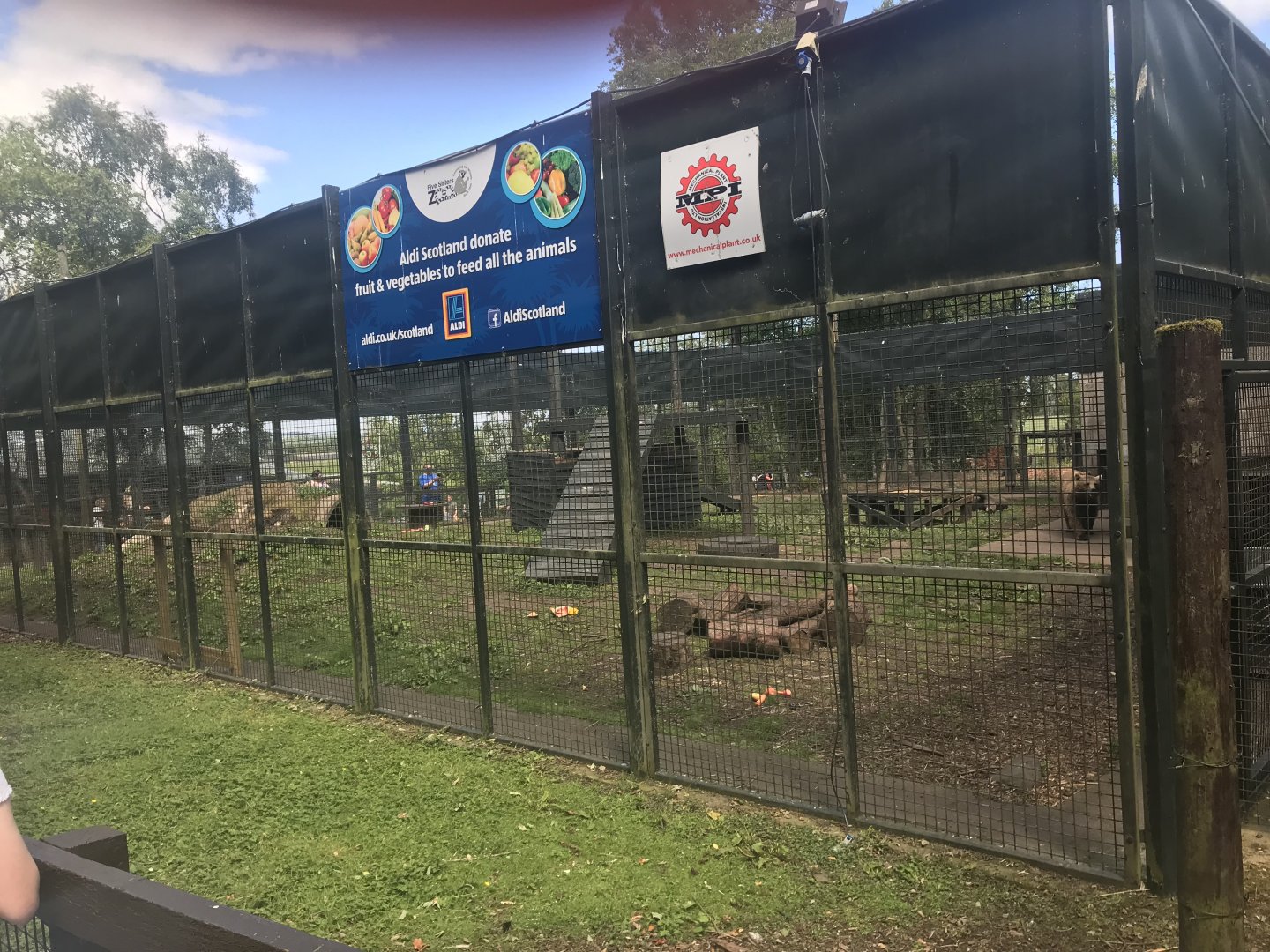 European brown bear holding area