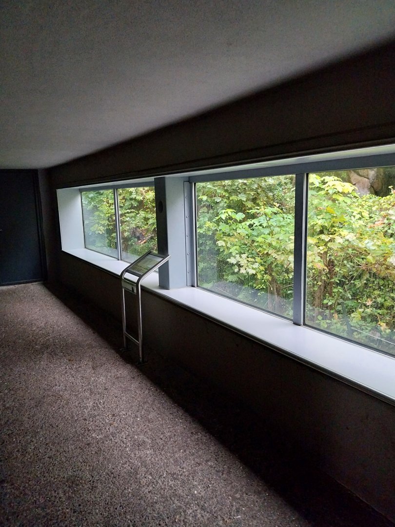 European brown bear shelter viewing point