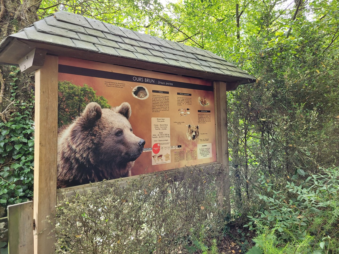 European brown bear sign -Parc Animalier des Pyrénées (2023)