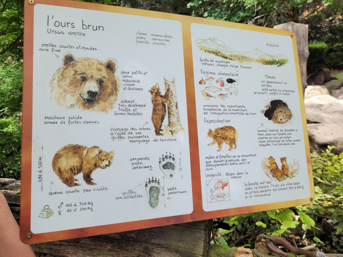 European brown bear sign -Parc Animalier des Pyrénées (2023)