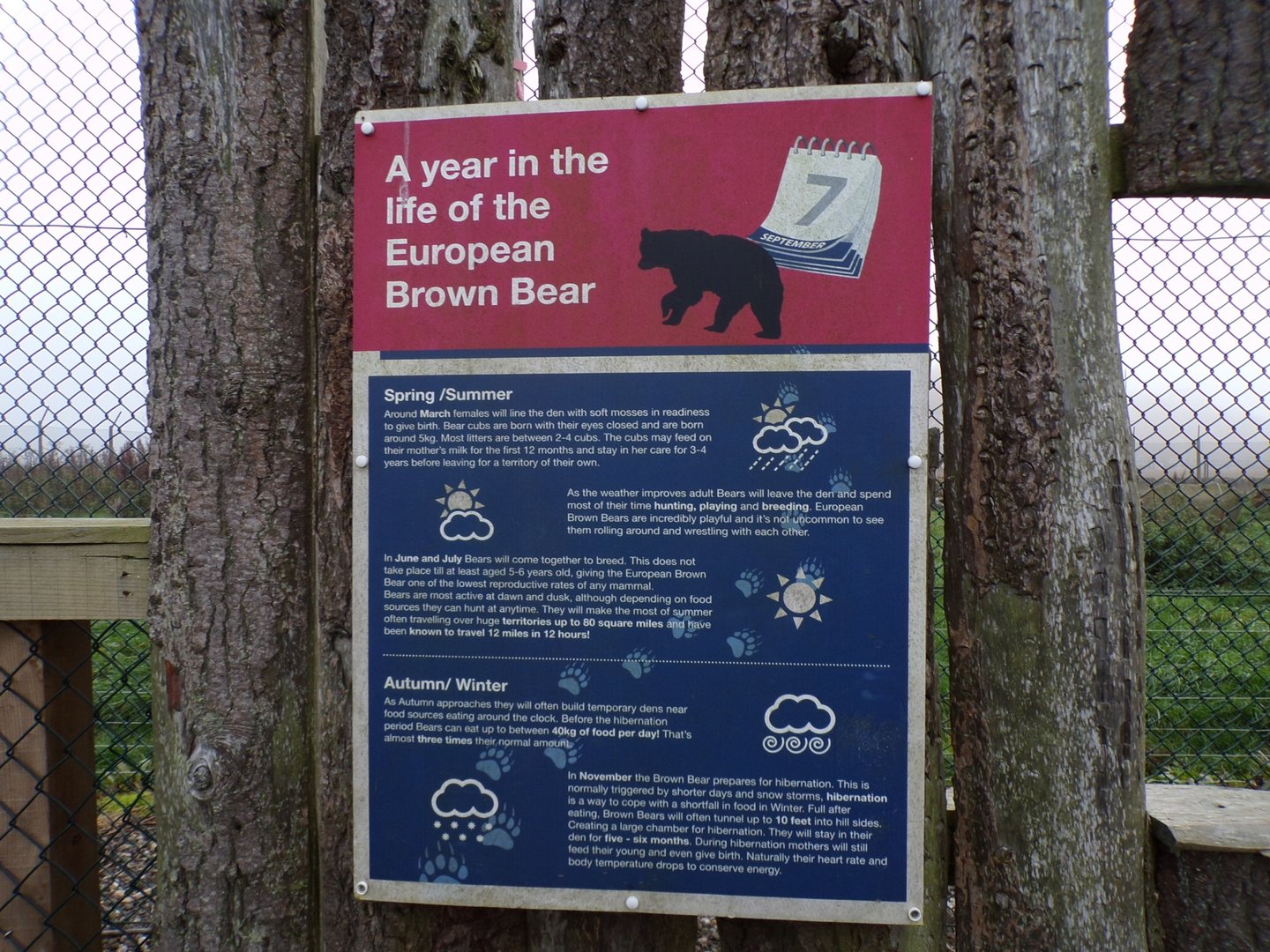 European brown bear signage
