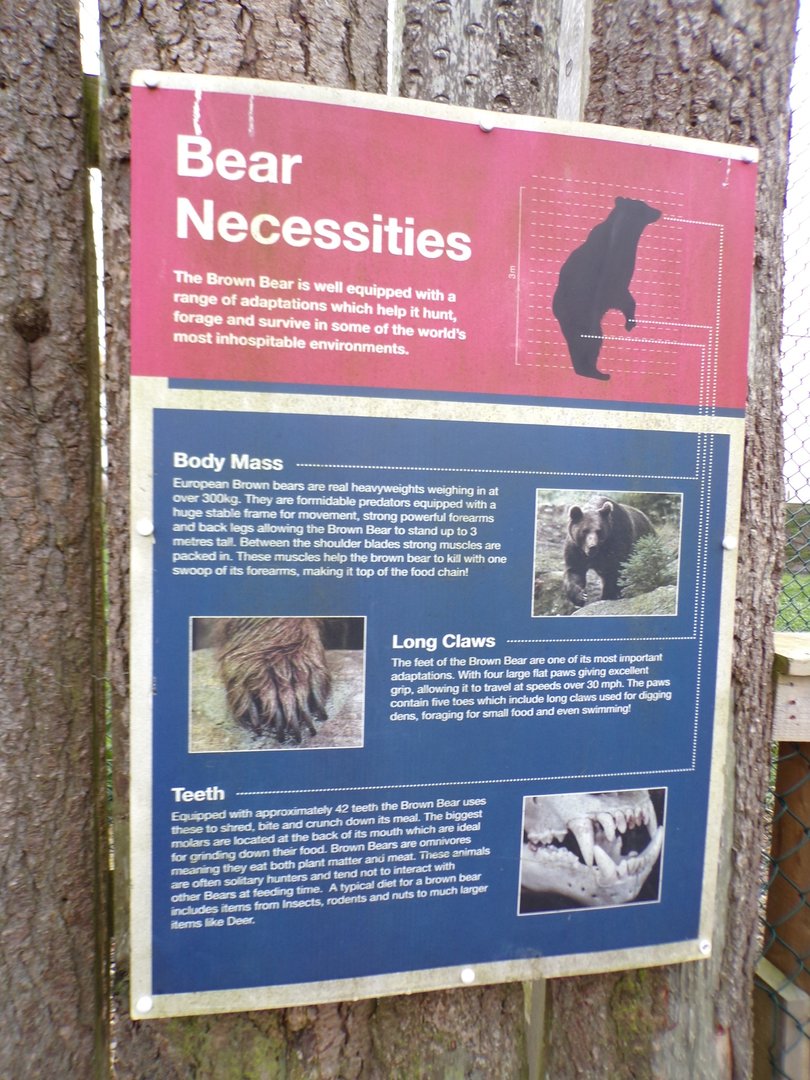 European brown bear signage