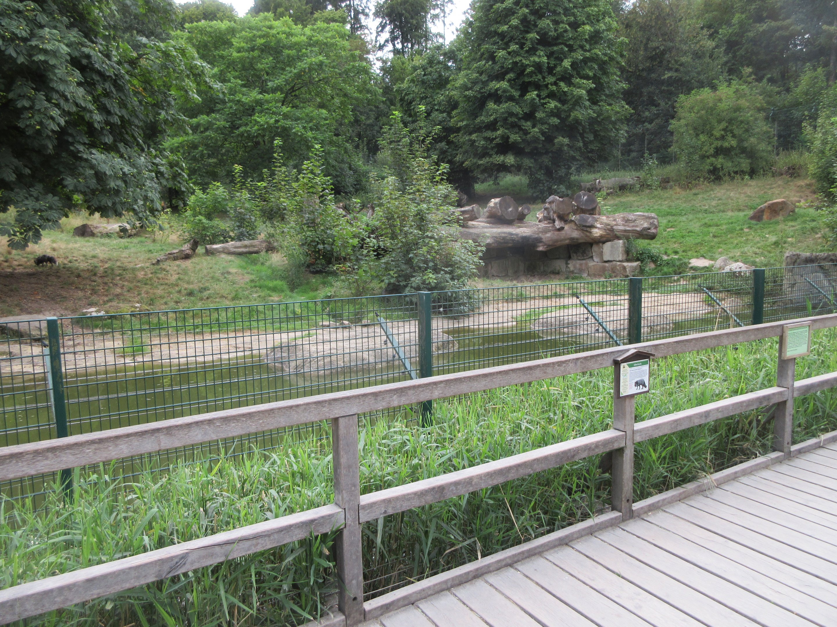 European Brown Bear/Silver Fox Exhibit