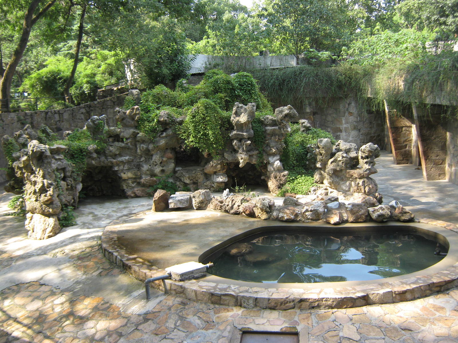 European brown bear (Ursus arctos) enclosure