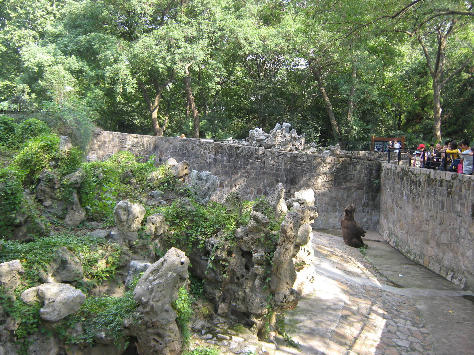 European brown bear (Ursus arctos) enclosure