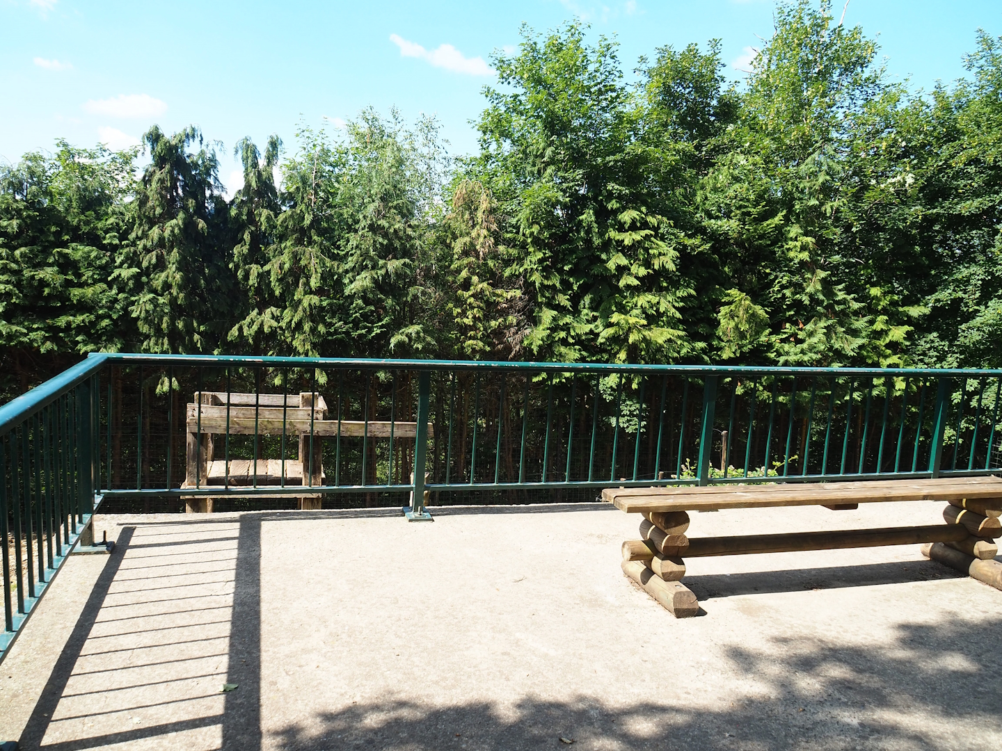 European Brown bear viewing area, 2023-06-24