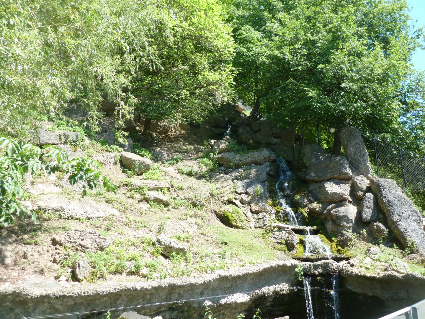 European chamois enclosure