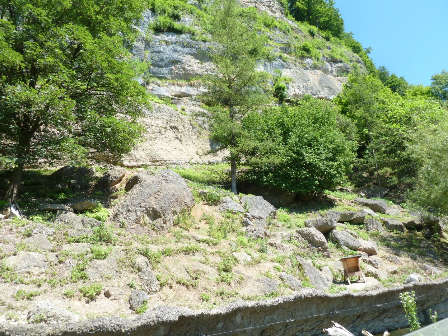 European chamois enclosure