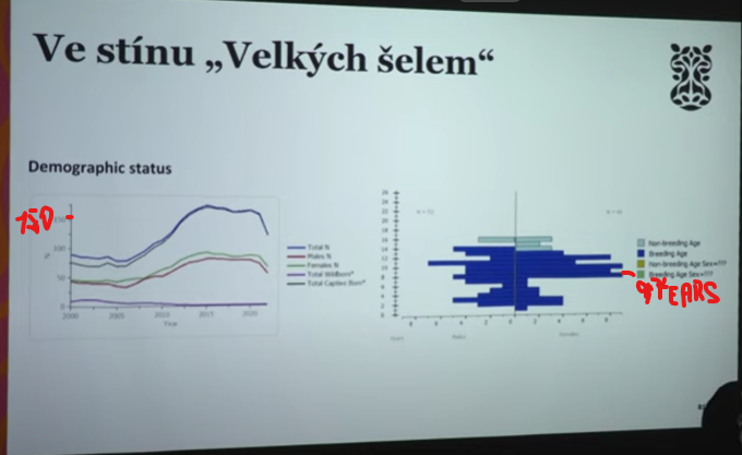 European clouded leopard population