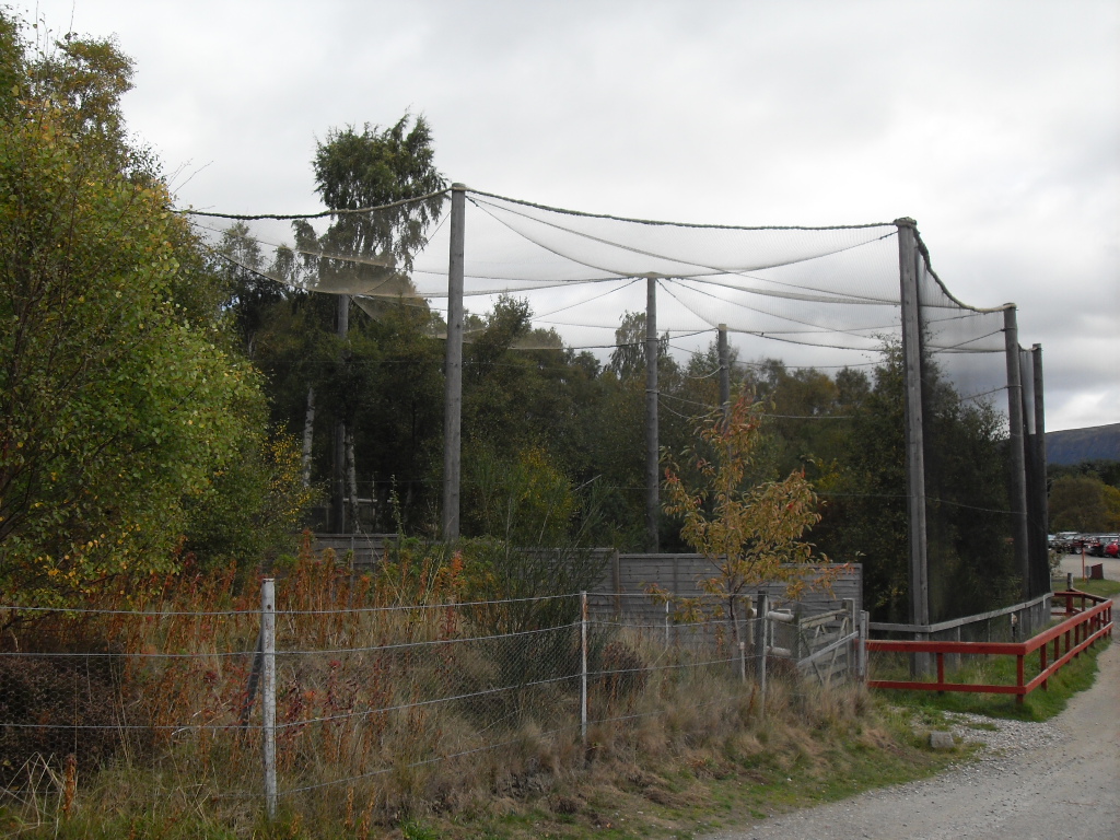 European crane aviary