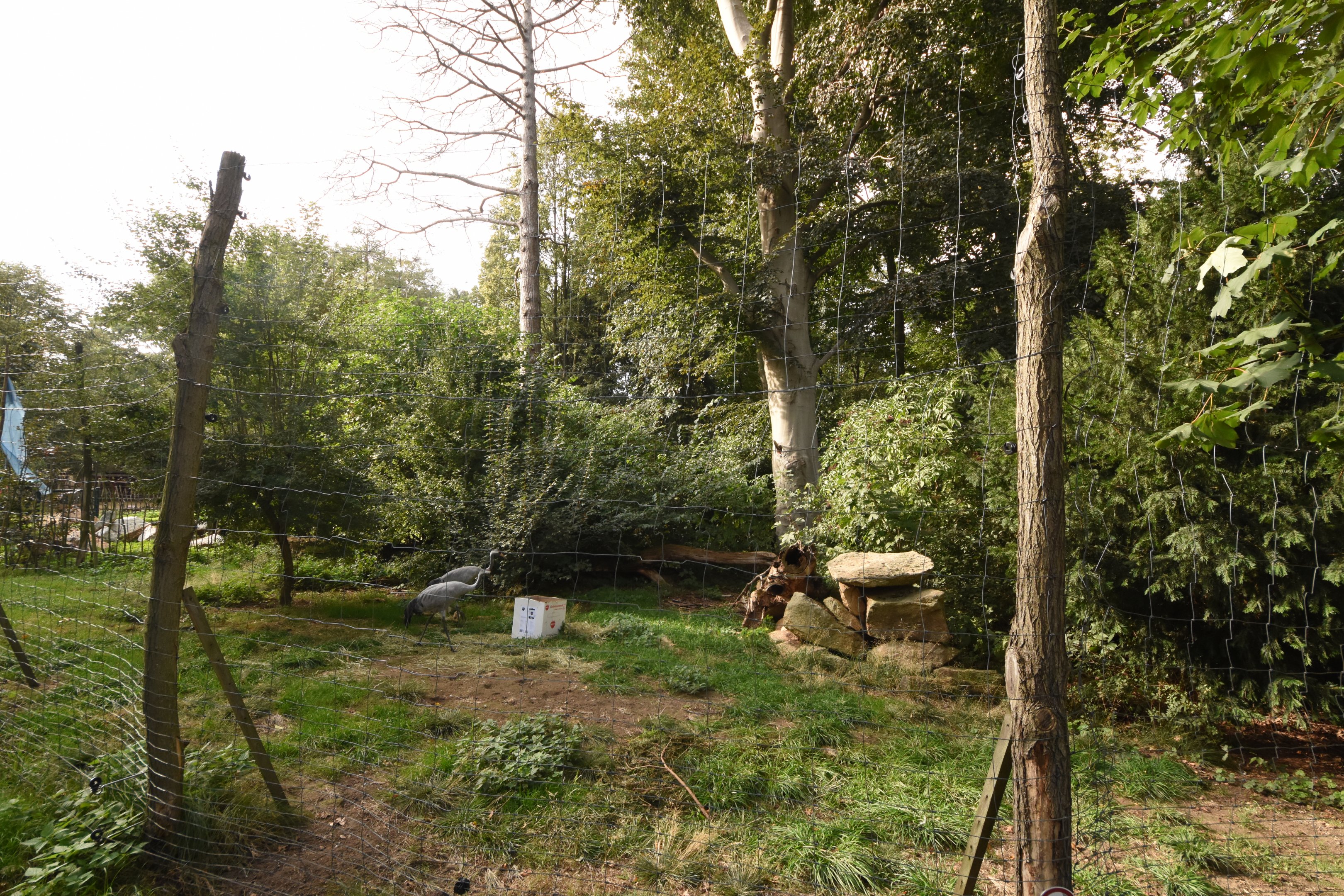 European crane enclosure