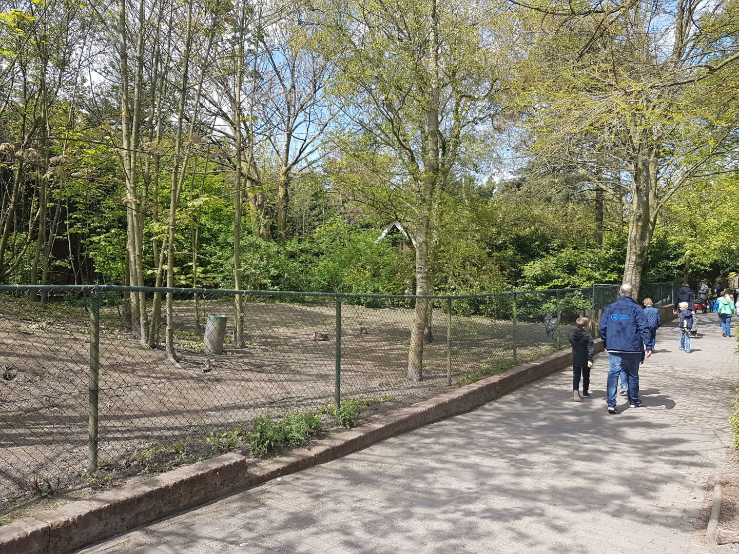 European crane - Goose-enclosure