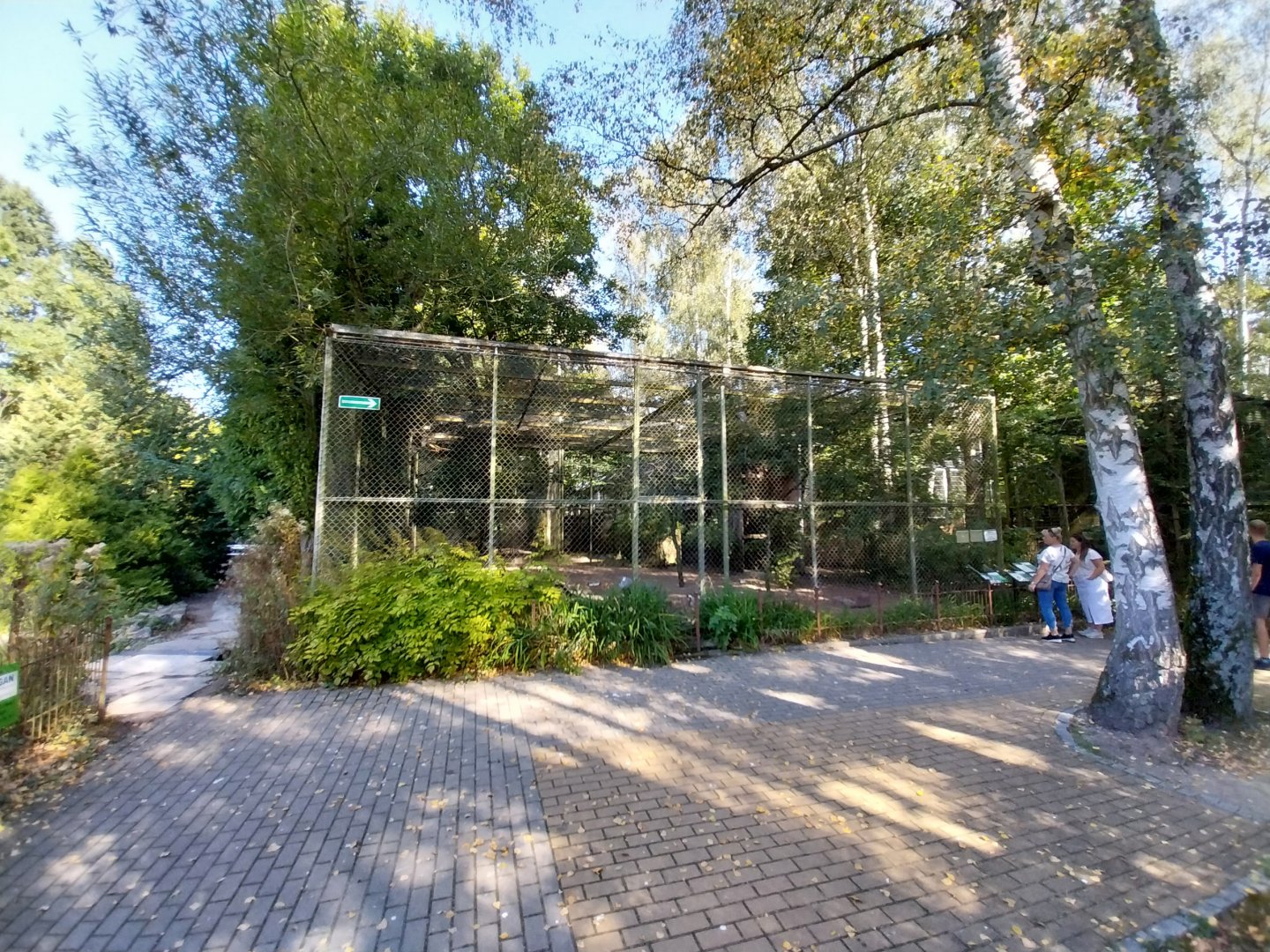 European Crane (Grus grus grus) & African Sacred Ibis (Threskiornis aethiopicus) aviary