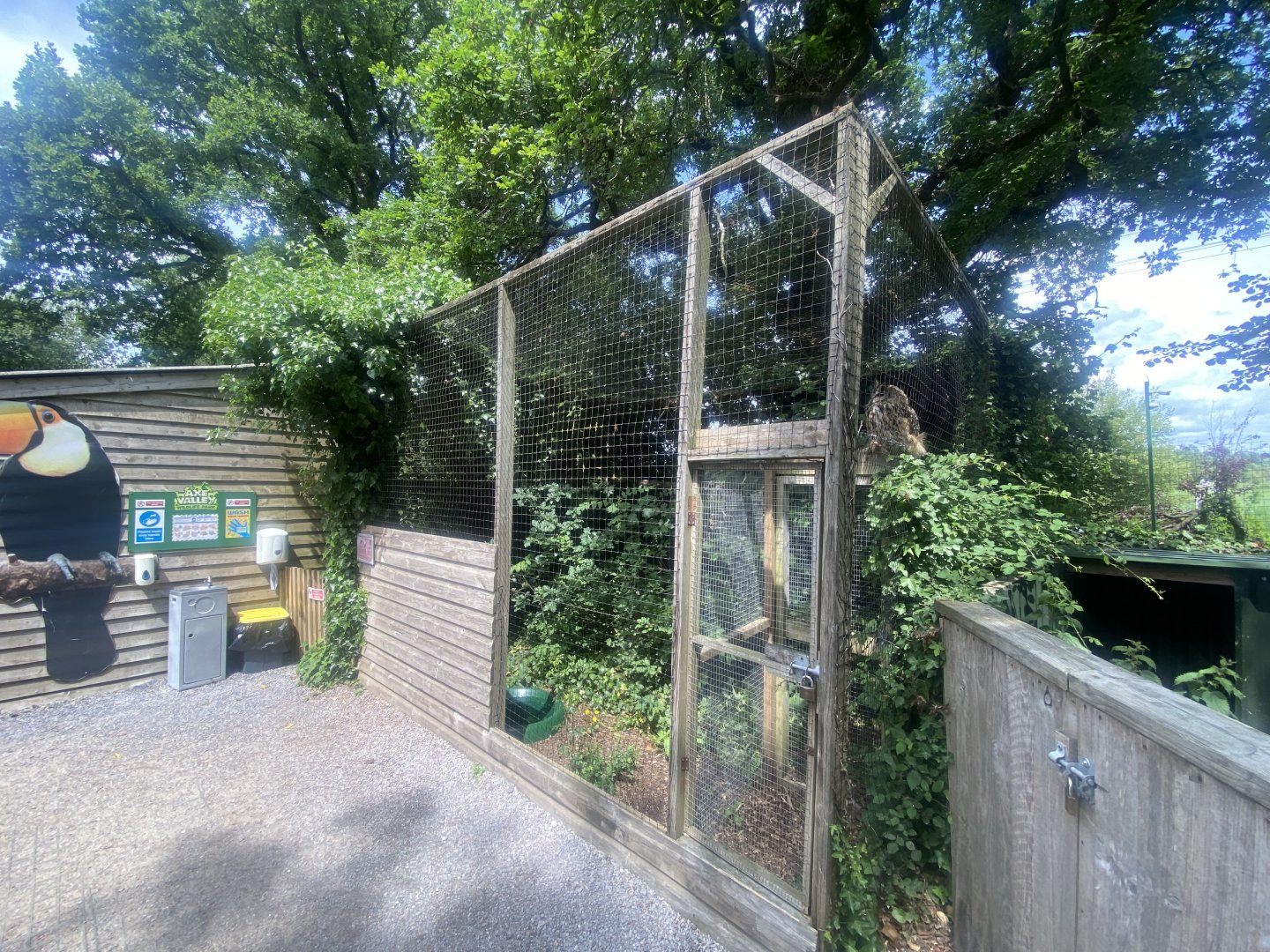European eagle-owl aviary 060625