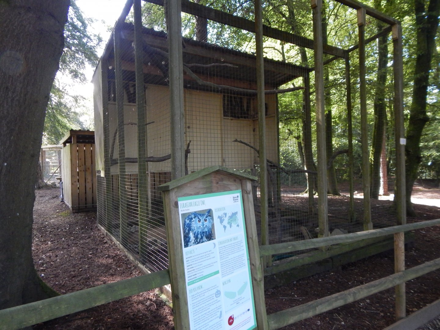European eagle-owl aviary 130924
