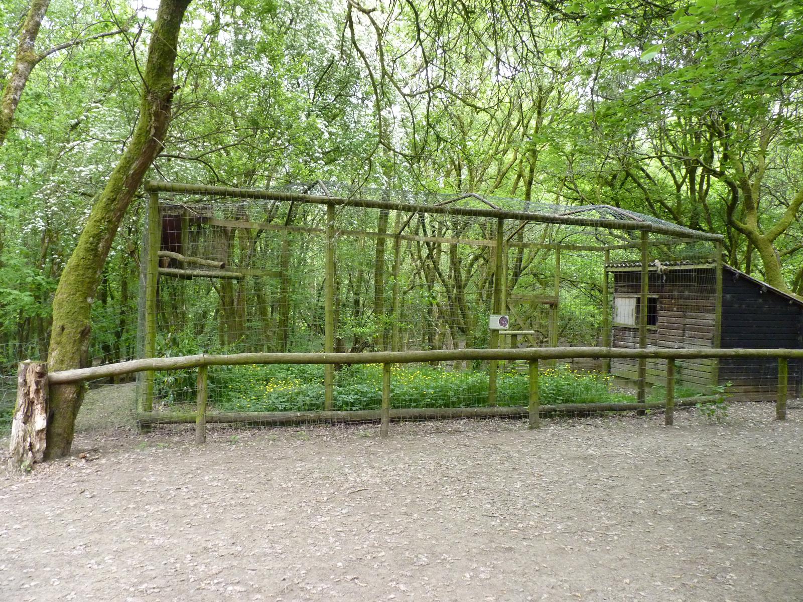 European Eagle Owl Aviary
