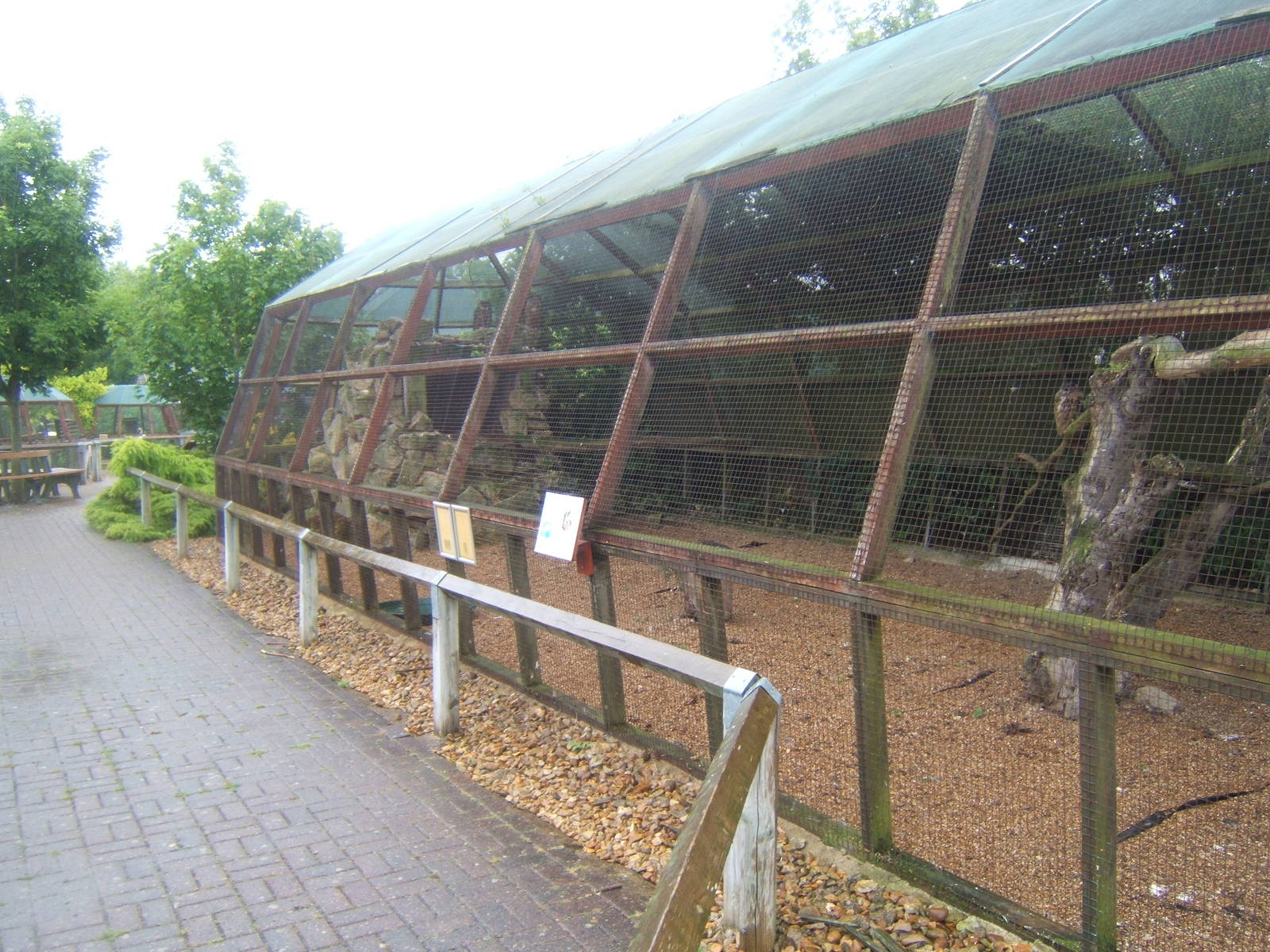 European Eagle Owl Aviary