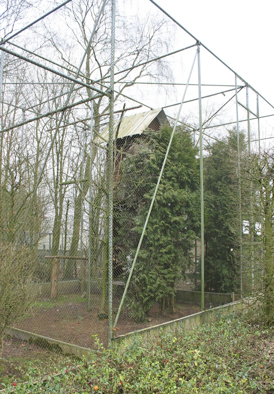 European eagle owl aviary