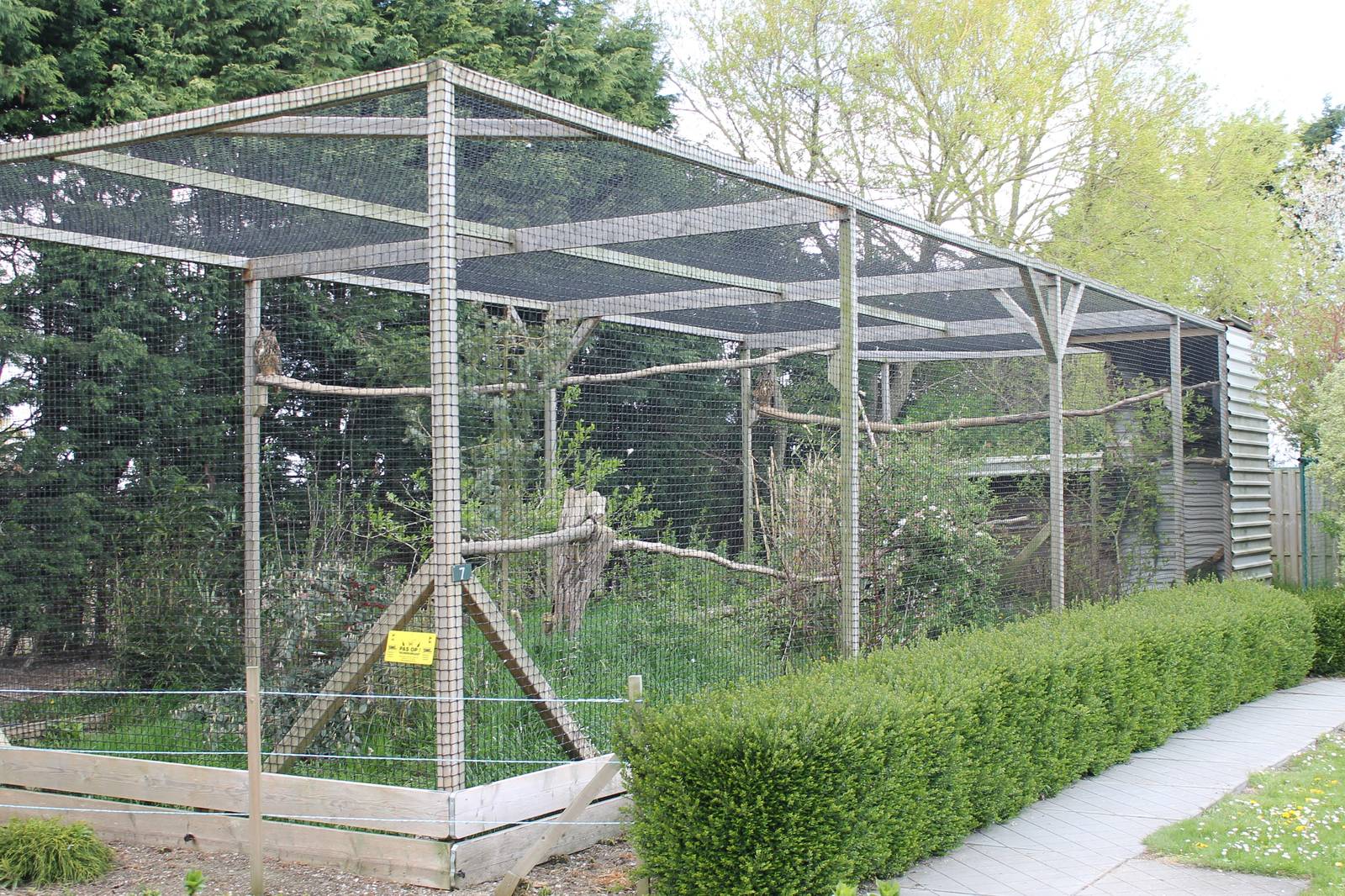 European eagle owl aviary