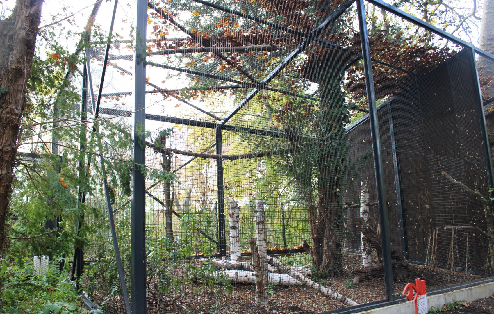 European eagle-owl aviary