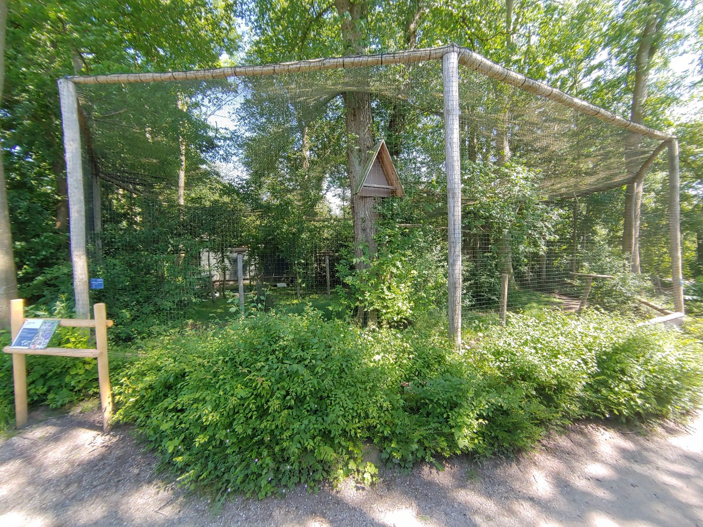 European eagle-owl aviary