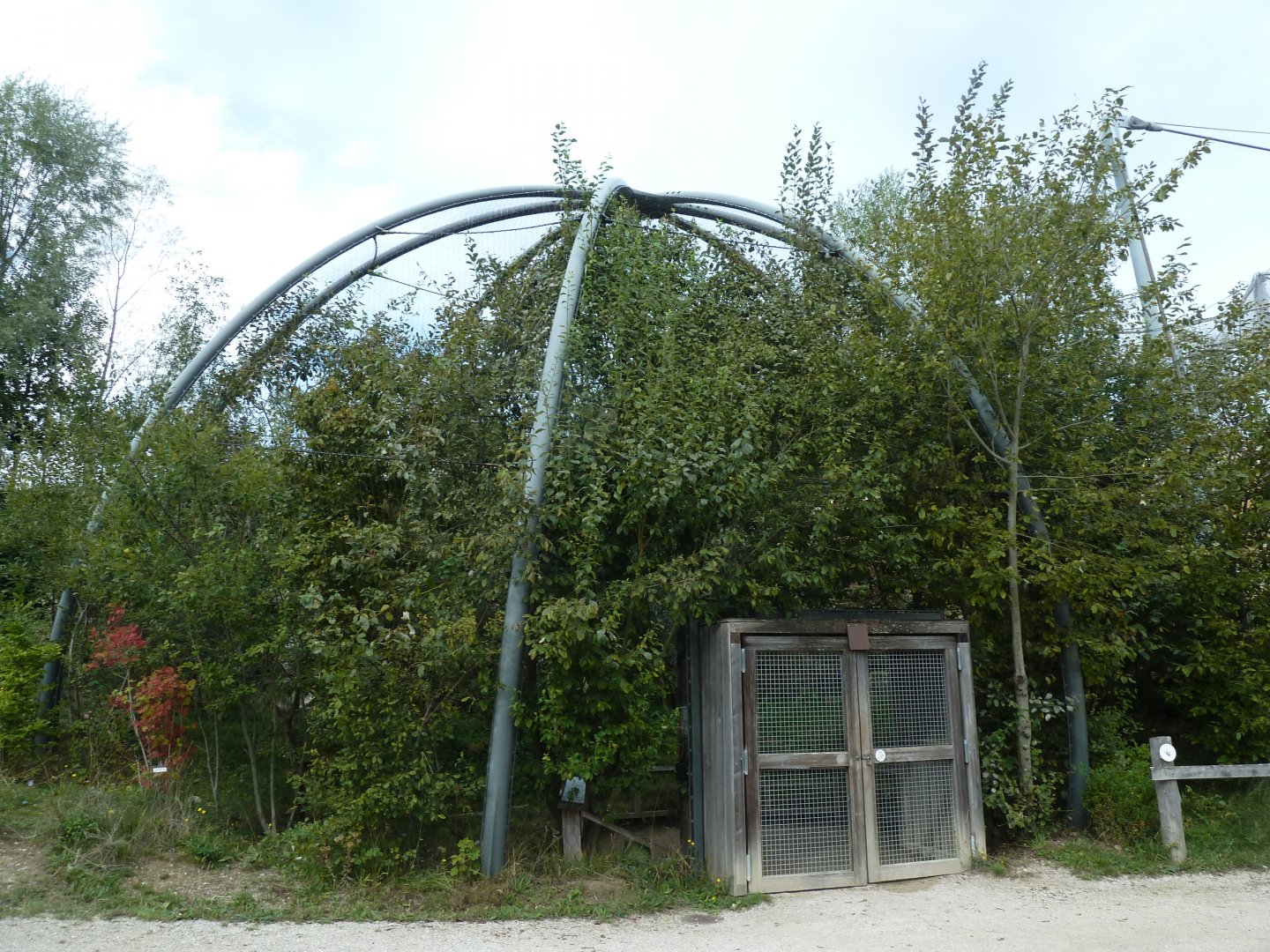 European eagle-owl aviary