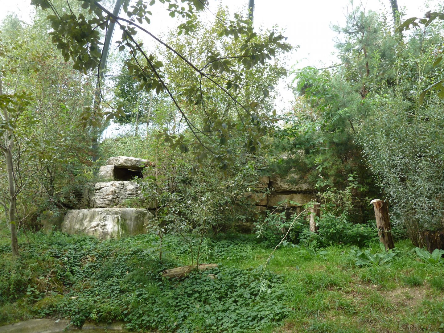 European eagle-owl aviary