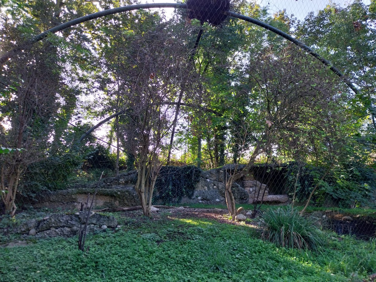 European eagle-owl aviary