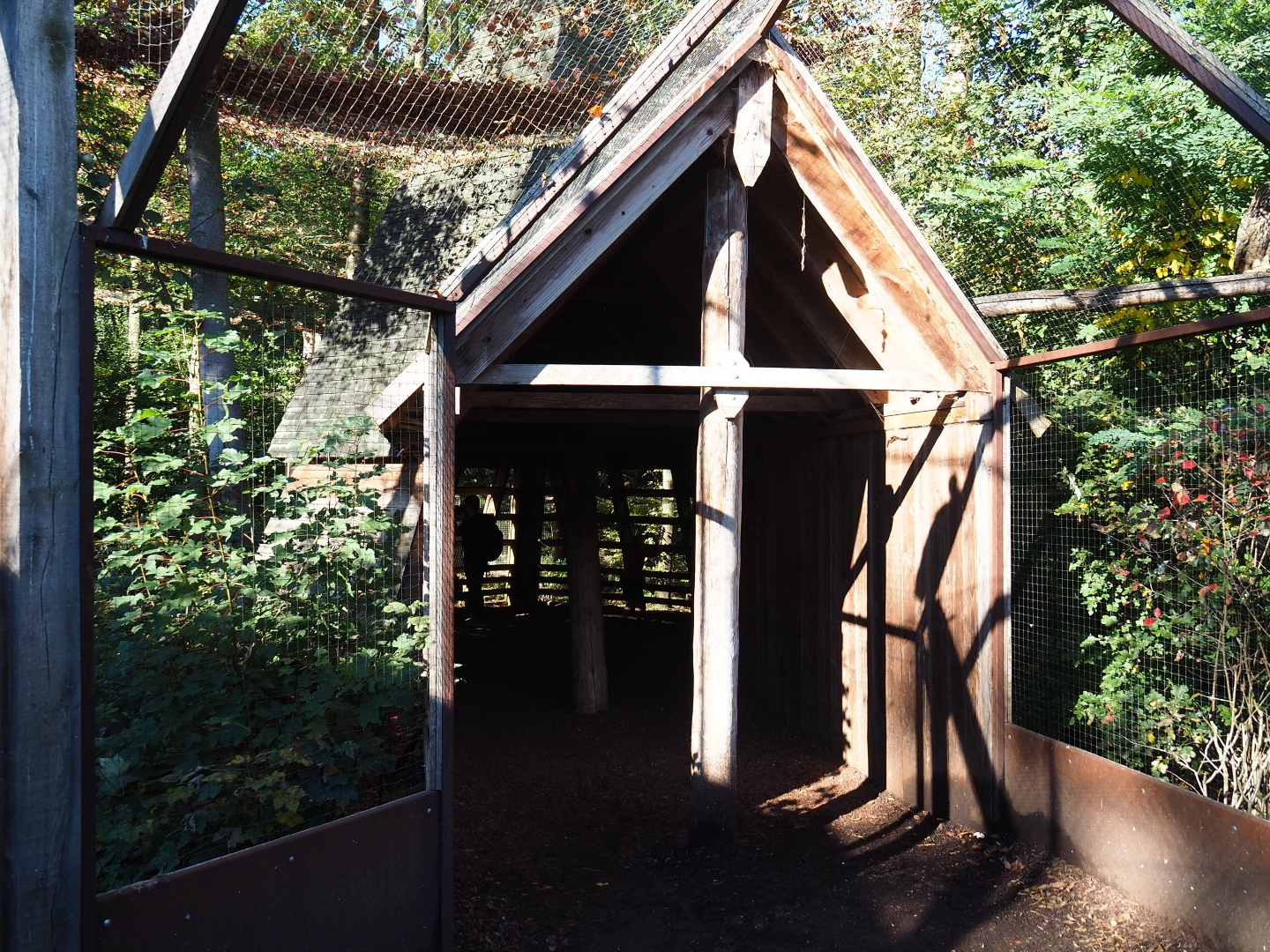 European eagle-owl - Common raven - Black stork aviary viewing hut (Oct 13th, 2018)