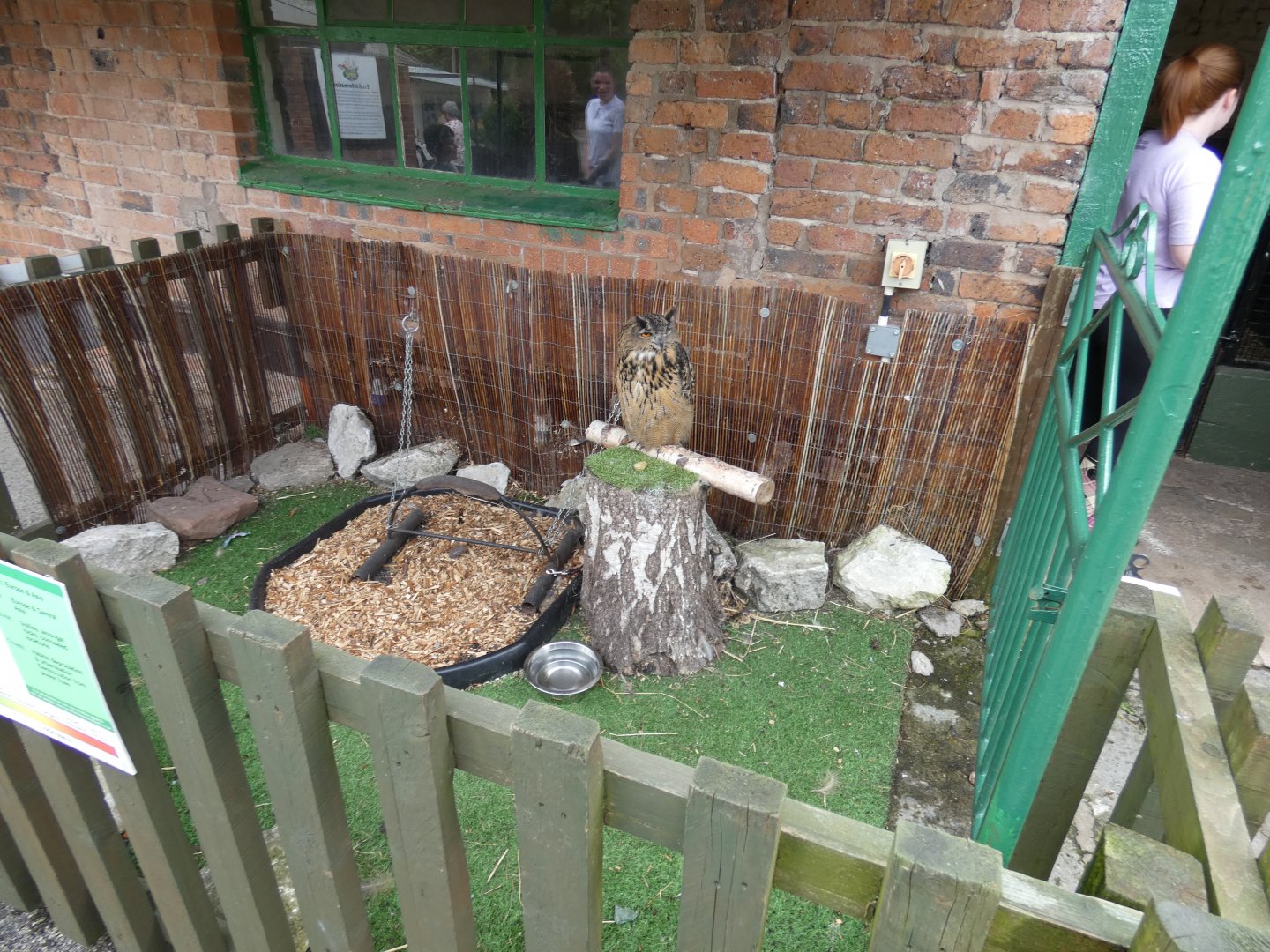 European eagle owl display (Greenacres Animal Park)