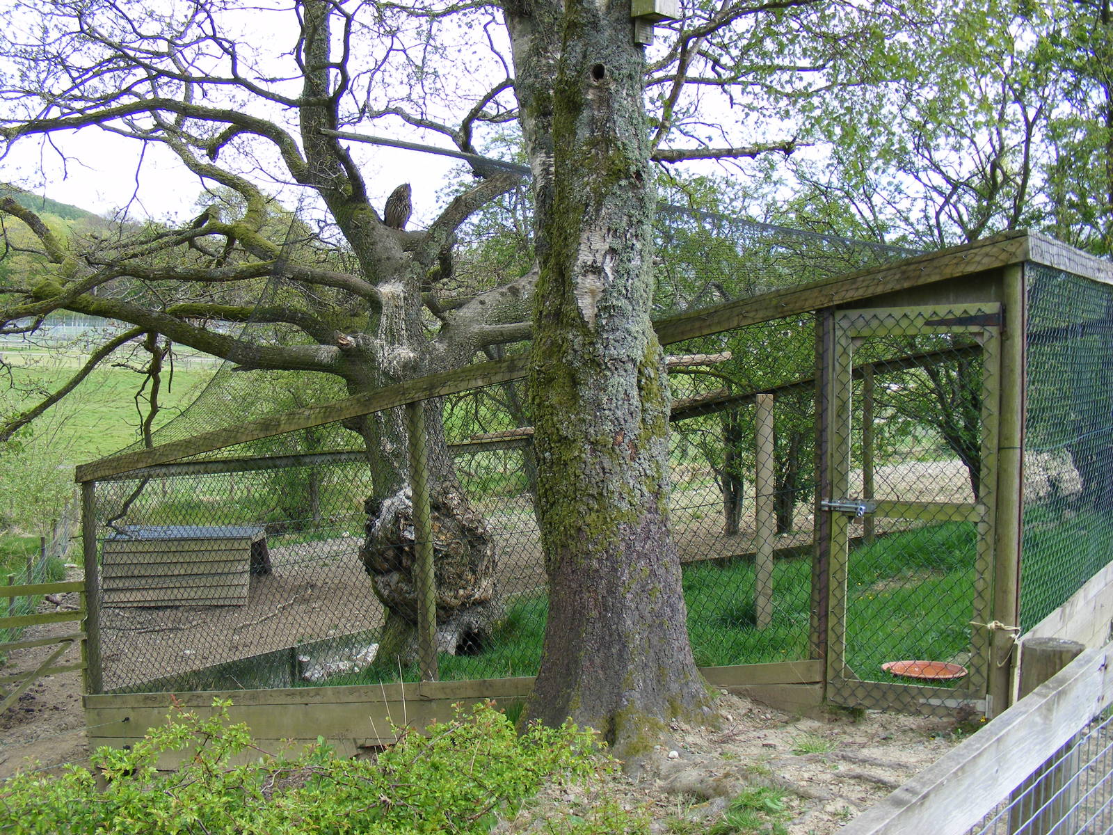 European eagle owl enclosure at Trotters World of Animals, 15 May 2010