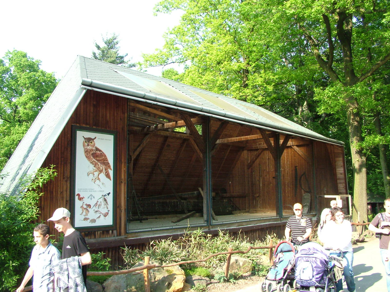 European Eagle Owl exhibit at Ostrava, 29/05/10