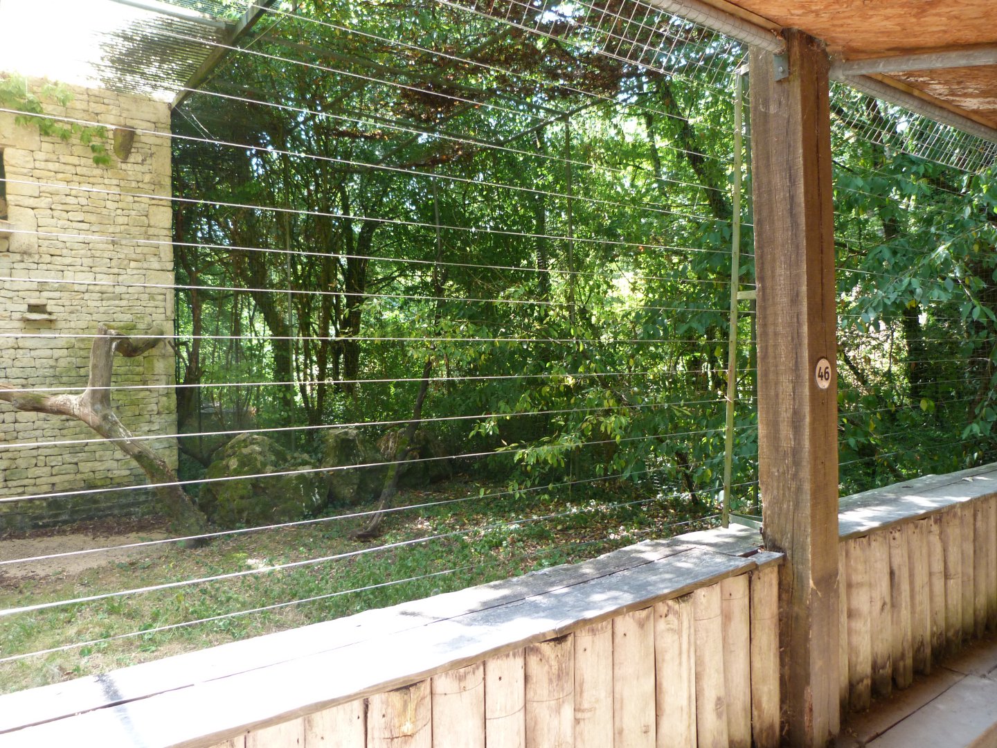 European eagle-owl exhibit -Zoodyssée (2025)