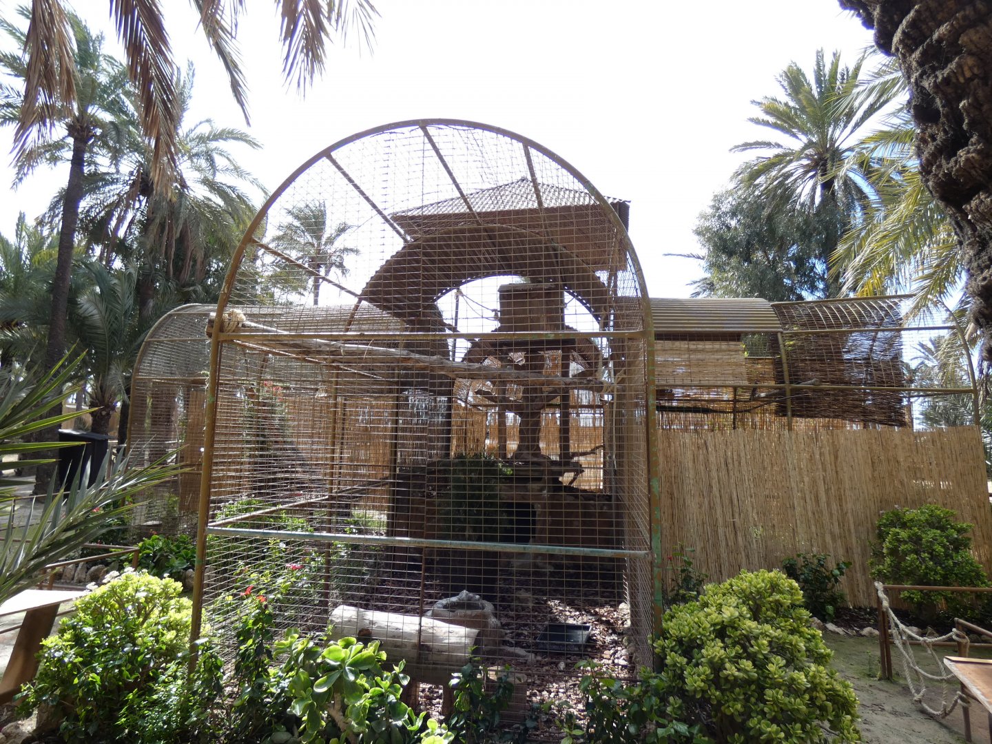 European Eagle-Owl, Peregrine Falcon and European Kestrel Aviary