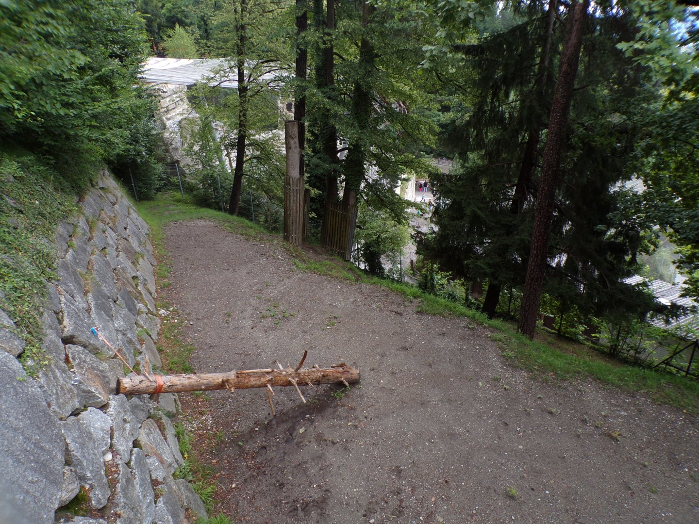 European elk enclosure 9.7.25