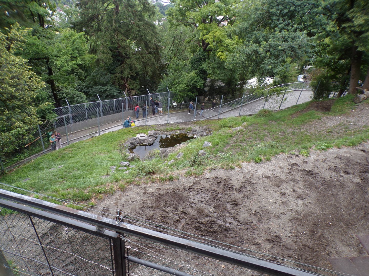 European elk enclosure 9.7.25