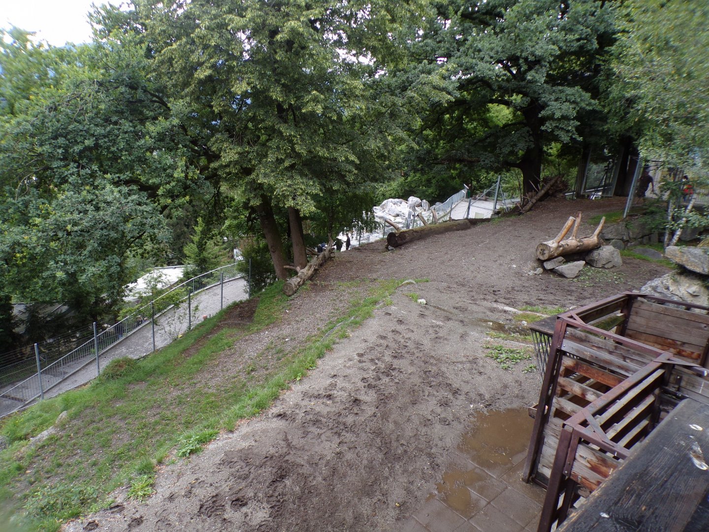 European elk enclosure 9.7.25