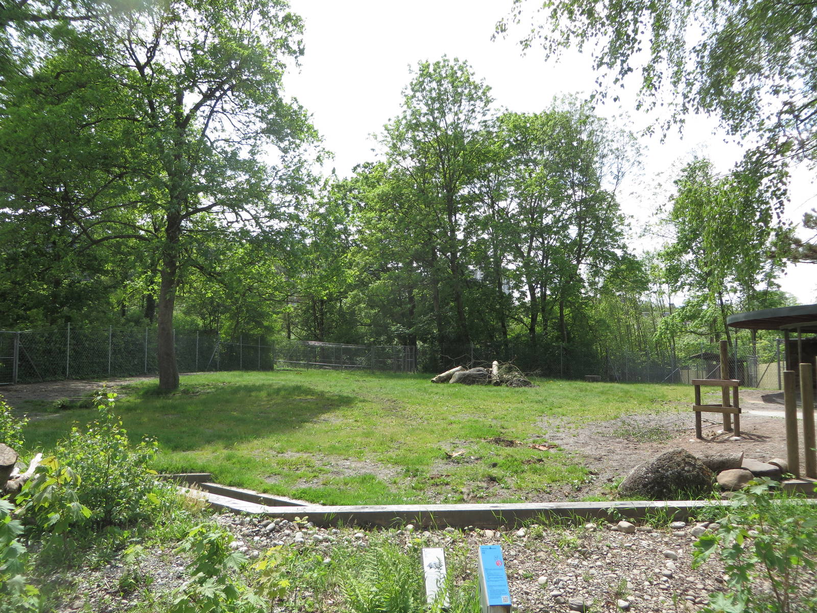 European elk enclosure