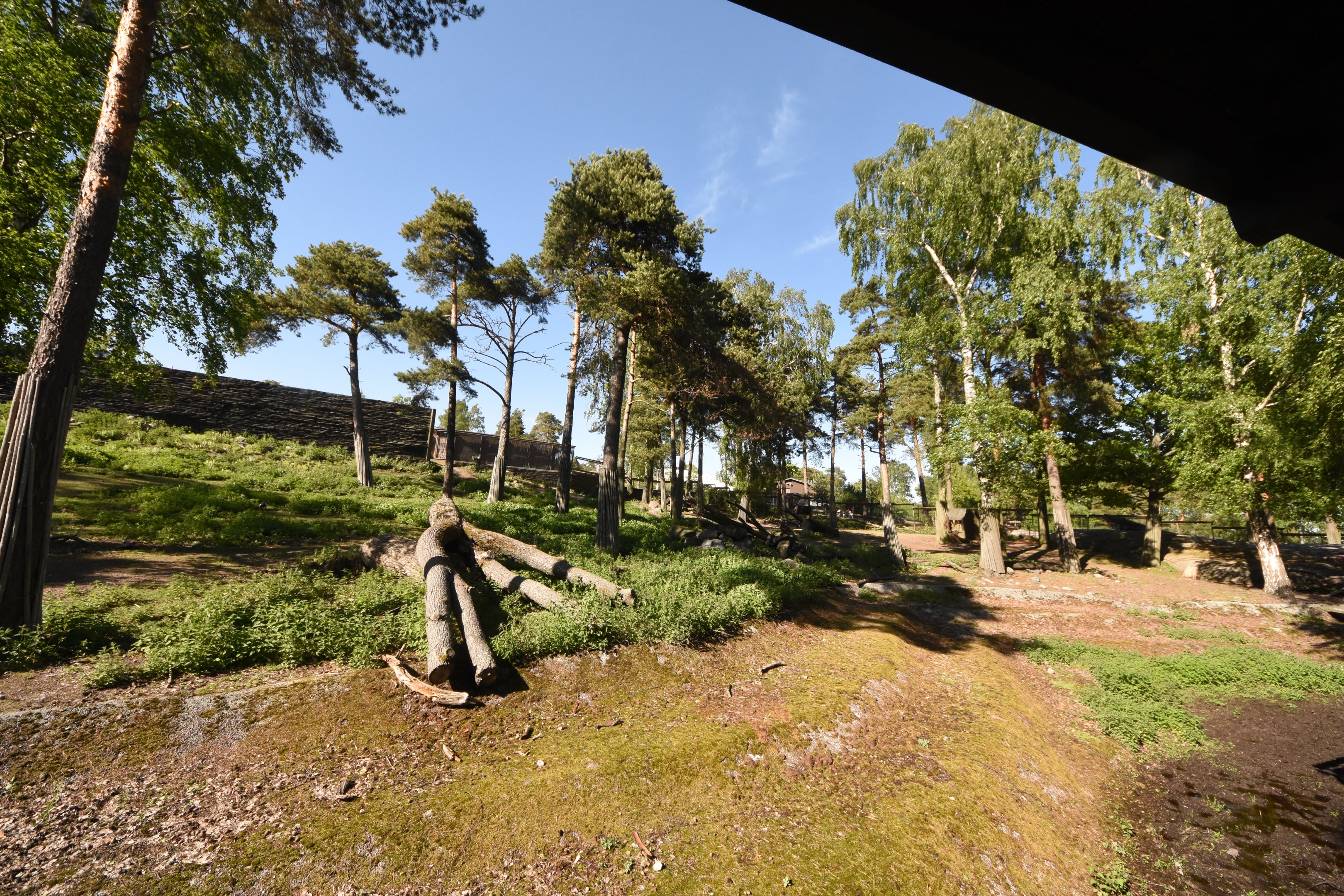 European elk enclosure